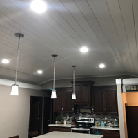 20 Kitchen Ceiling