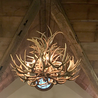 06 Unique Antler Chandelier